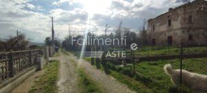 Procedura Fallimentare Nr. 39/2022