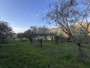 Esecuzione Immobiliare Nr. 340/2017