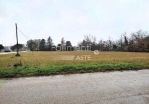 Procedura di Liquidazione Nr. 7/2024