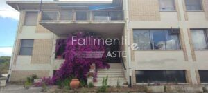 Procedura Fallimentare Nr. 1/2020