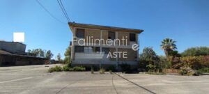 Procedura Fallimentare Nr. 1/2020