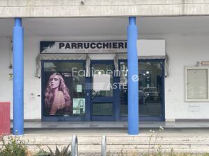 Esecuzione Immobiliare Nr. 237/2025