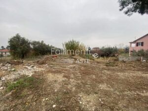 Liquidazione Giudiziale Nr. 44/2025