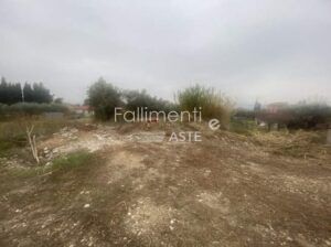 Liquidazione Giudiziale Nr. 44/2025
