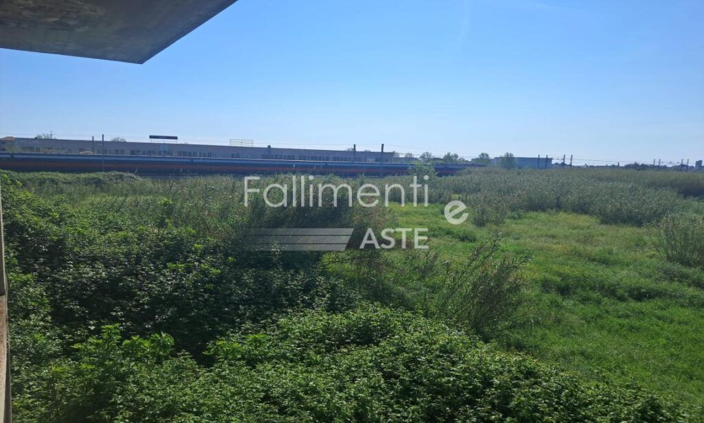 Esecuzione Immobiliare Nr. 202/2024
