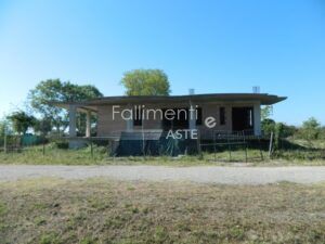Esecuzione Immobiliare Nr. 202/2024