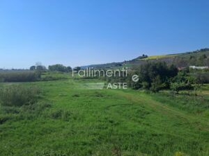 Esecuzione Immobiliare Nr. 202/2024