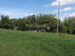 Procedura Fallimentare Nr. 20/2022