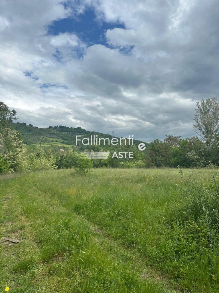 Liquidazione Giudiziale Nr. 21/2024 Reg. Fall. - Fallimenti e Aste