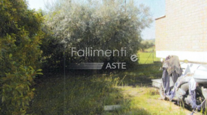 Esecuzione Immobiliare Nr. 147/2024