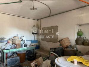 Liquidazione Controllata Nr. 18/2025 R.G. L.C.