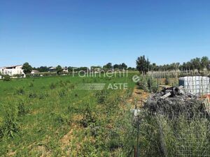 Esecuzione Immobiliare Nr. 297/2016