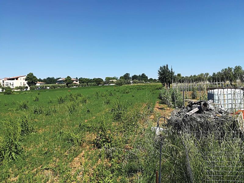 Esecuzione Immobiliare Nr. 297/2016