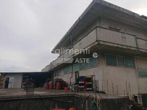 Esecuzione Immobiliare Nr. 131/2025