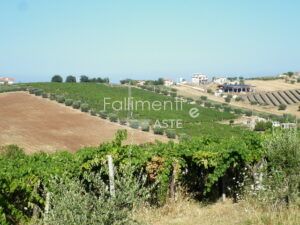 Esecuzione Immobiliare Nr. 334/2014