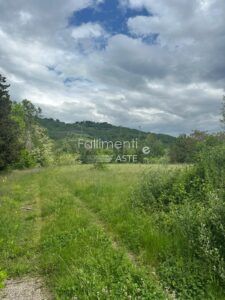 Liquidazione Giudiziale Nr. 21/2024 Reg. Fall.