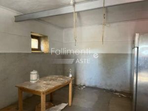 Liquidazione Controllata Nr. 18/2025 R.G. L.C.