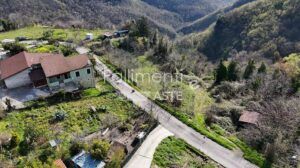 Esecuzione Immobiliare Nr. 227/2025