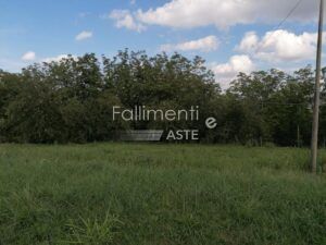 Procedura Fallimentare Nr. 20/2022