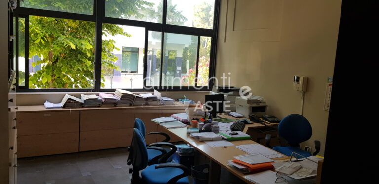 Procedura di Liquidazione Nr. 25/2024 – V.G. - Fallimenti e Aste
