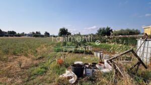 Esecuzione Immobiliare Nr. 297/2016