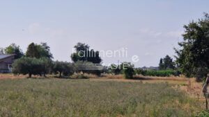 Esecuzione Immobiliare Nr. 297/2016