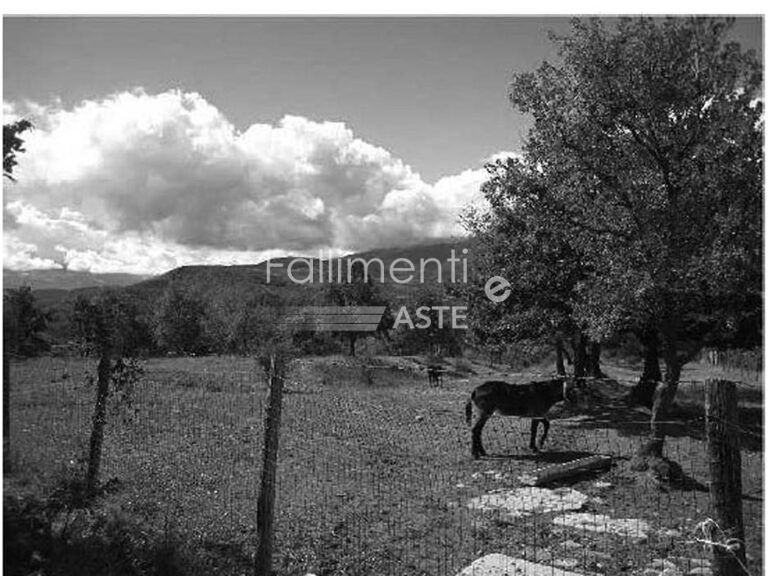 Procedura Fallimentare Nr. 66/2016 - Fallimenti e Aste