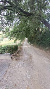 Esecuzione Immobiliare Nr. 129/2023