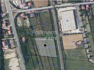 Esecuzione Immobiliare Nr. 202/2024